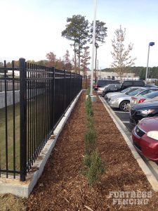 Carmax 3